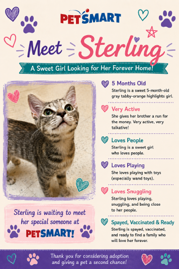 Sterling.png